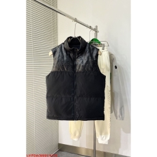 Louis Vuitton Down Jackets